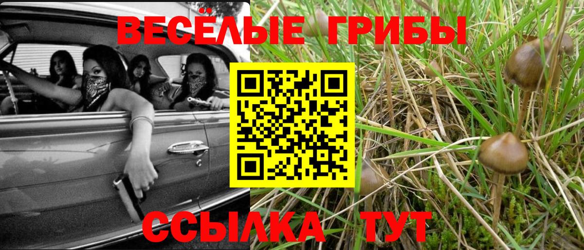 Псилоцибиновые грибы мицелий  Вход с VPN  Химки  Псилоцибиновые грибы MAGIC MUSHROOMS 